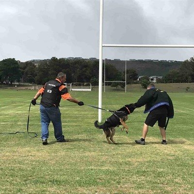 Blackie saves the day, again