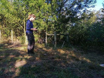 Help collect info on wild mammal species in your area