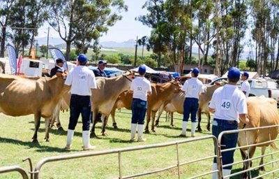 Heidelberg Jeugskou vir klein en groot