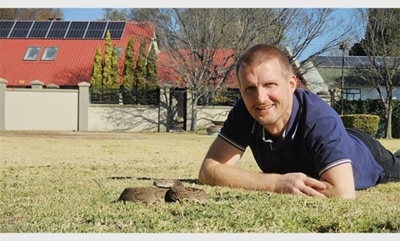 Puff adder found in BMW during service startles Secunda technician