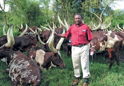 Ramaphosa retrenches almost half the staff at his farm