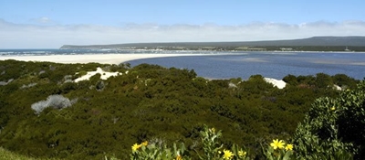 No contamination found at Witsand marsh pond