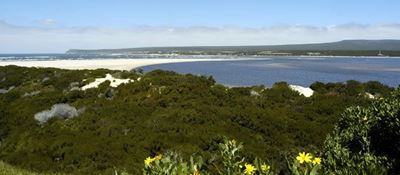 No contamination found at Witsand marsh pond