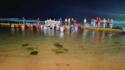 Polar Plunge: Tafelronde en kie skrik nie vir koue