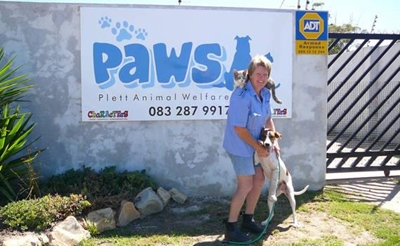 Paws' memorial wall in Plett to honour beloved pets