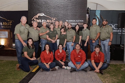 Springbok ewe hits record price of R170 000