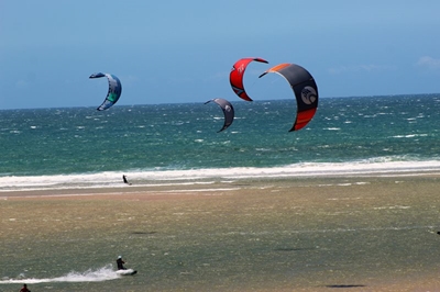 Vlieërbranderryers gedy in die wind