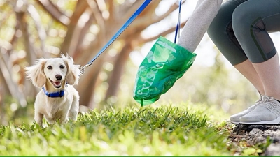 Pick up your pup's poop