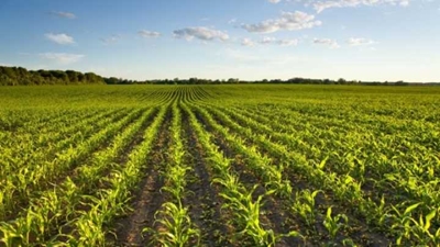 African agribusinesses seek stable investment environments
