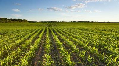 African agribusinesses seek stable investment environments