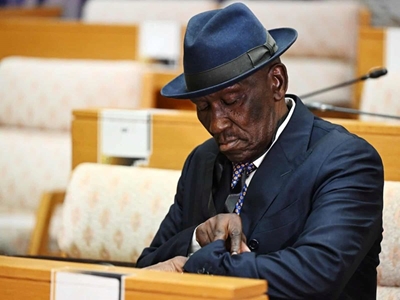 Cele claims Mchunu sought funding from Matlala for future presidency bid