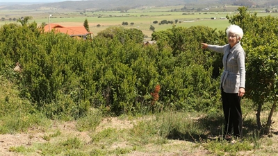 Overgrown plots cause concern in Fraaiuitsig