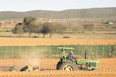 Banks can contribute to land expropriation debate: FirstRand