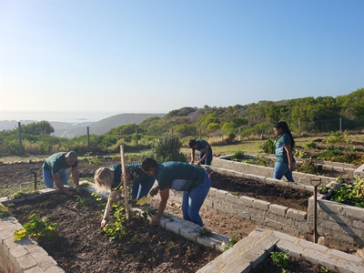 Besighede ondersteun Mandeladag deur skool mooi te maak