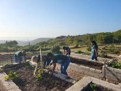 Besighede ondersteun Mandeladag deur skool mooi te maak