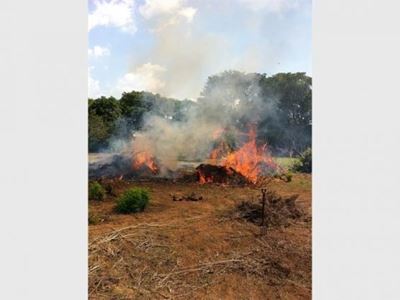 Roodepoort women lauded as heroes for fighting raging veldfire
