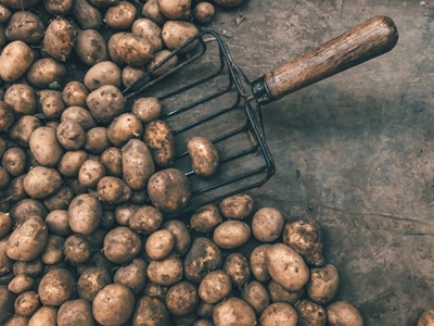 Potato farmers set to benefit from mobile data sharing app