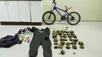 Man aangekeer vir perlemoenstropery