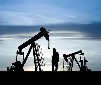Brulpadda oil and gas meeting