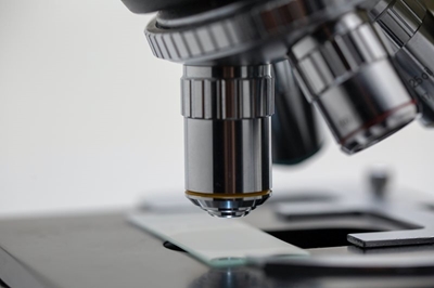 Government grant for research and development activities increases