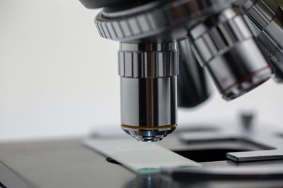Government grant for research and development activities increases