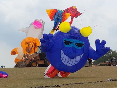 Kite festival in its 5th year