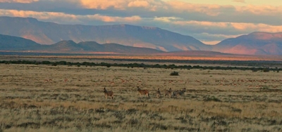 Discover the vastness of the Karoo