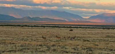 Discover the vastness of the Karoo