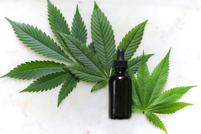 New leaf for cannabis