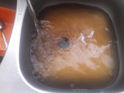 Bruin water steeds ‘n kopseer