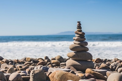 The route to a better you: Wellness questions answered