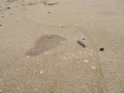 Nurdles show up on Plett beaches once again