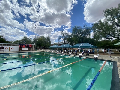 Knysna swimmers claim the podium