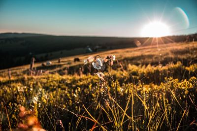 Agriculture numbers shock