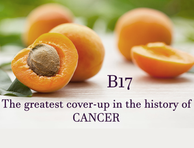 Vitamin B17 cures cancer – true or false?