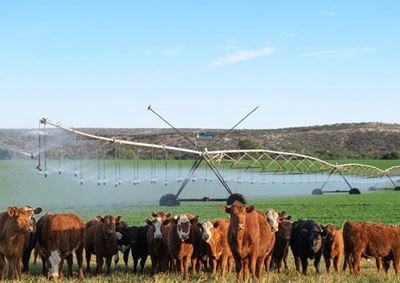 Hessequa gaan uitreik na opkomende boerderye