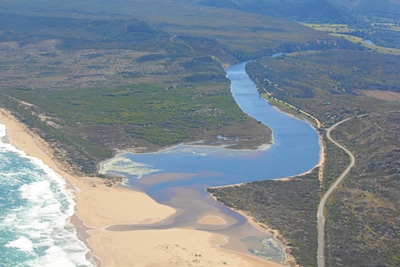 Rewilding gains traction in SA