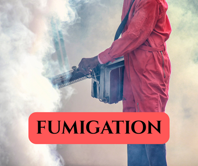 George Municipality main building to close early for fumigation