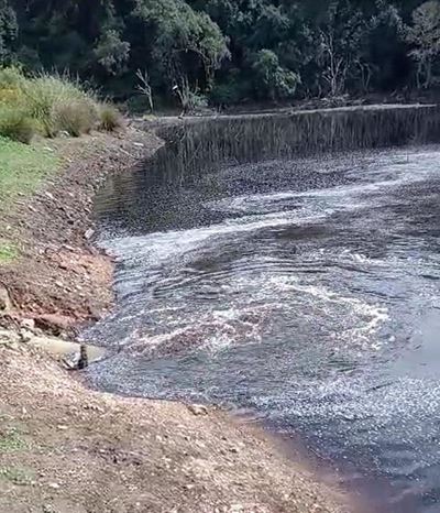 Eden sewage pump station overflows into dam