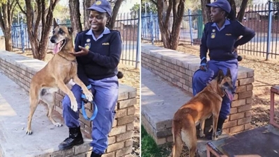 Python kills K9 dog in Limpopo