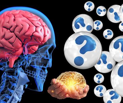 Alzheimer’s: Be your own brain health activist