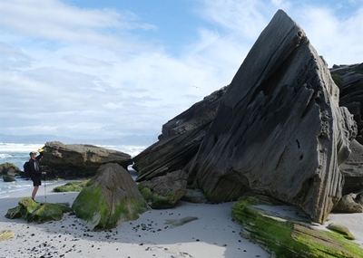 Get to know your Southern Cape fossils