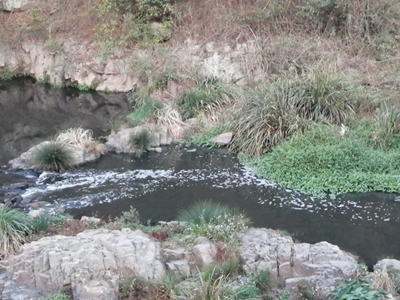 High levels of E. coli found in KZN river