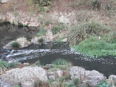 High levels of E. coli found in KZN river