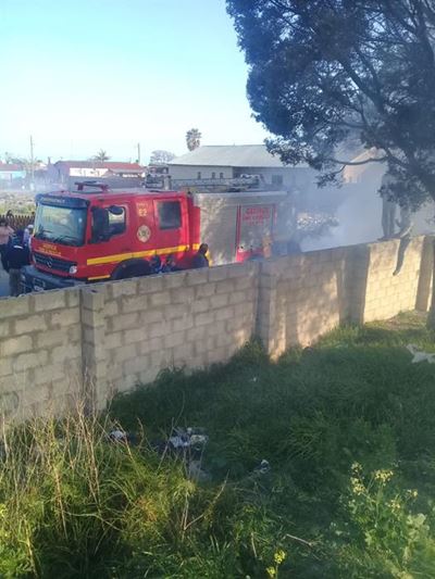 Rosemoor brand vullis in protes oor vullis, gemors