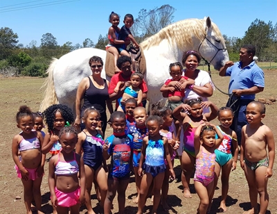 Fun with Percheron horses