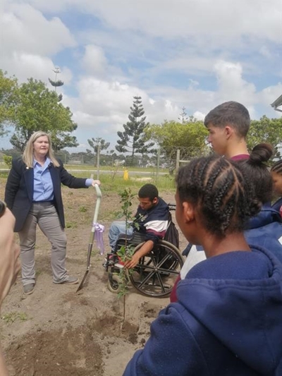 Kaapse Forum plant bome by Carpe Diem