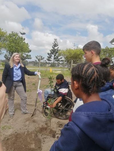 Kaapse Forum plant bome by Carpe Diem