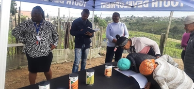 Reaching the youth through gardening
