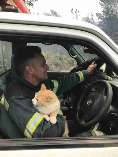 Miracles during devastating fires